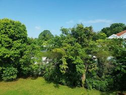 Bukit Timah Estate (D10), Detached #468537191